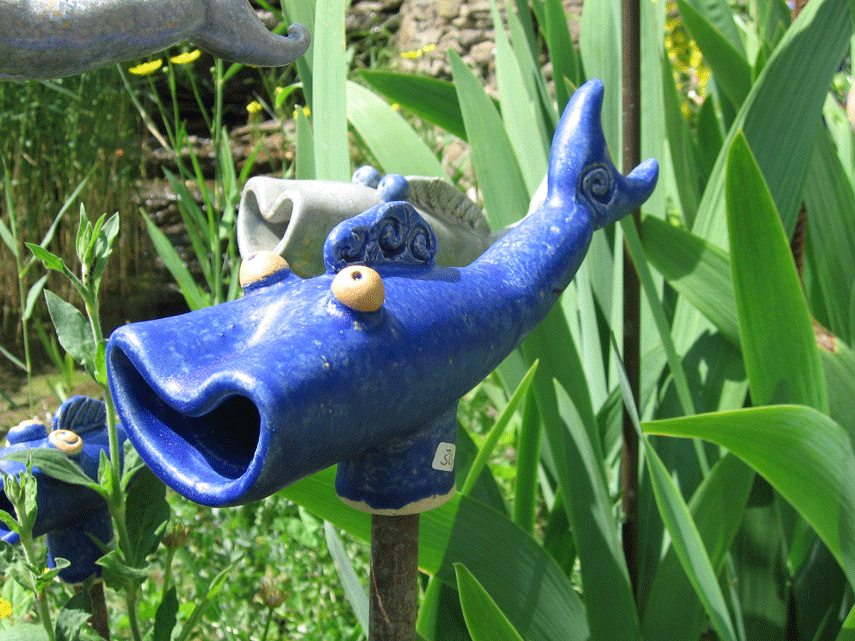 Fisch1