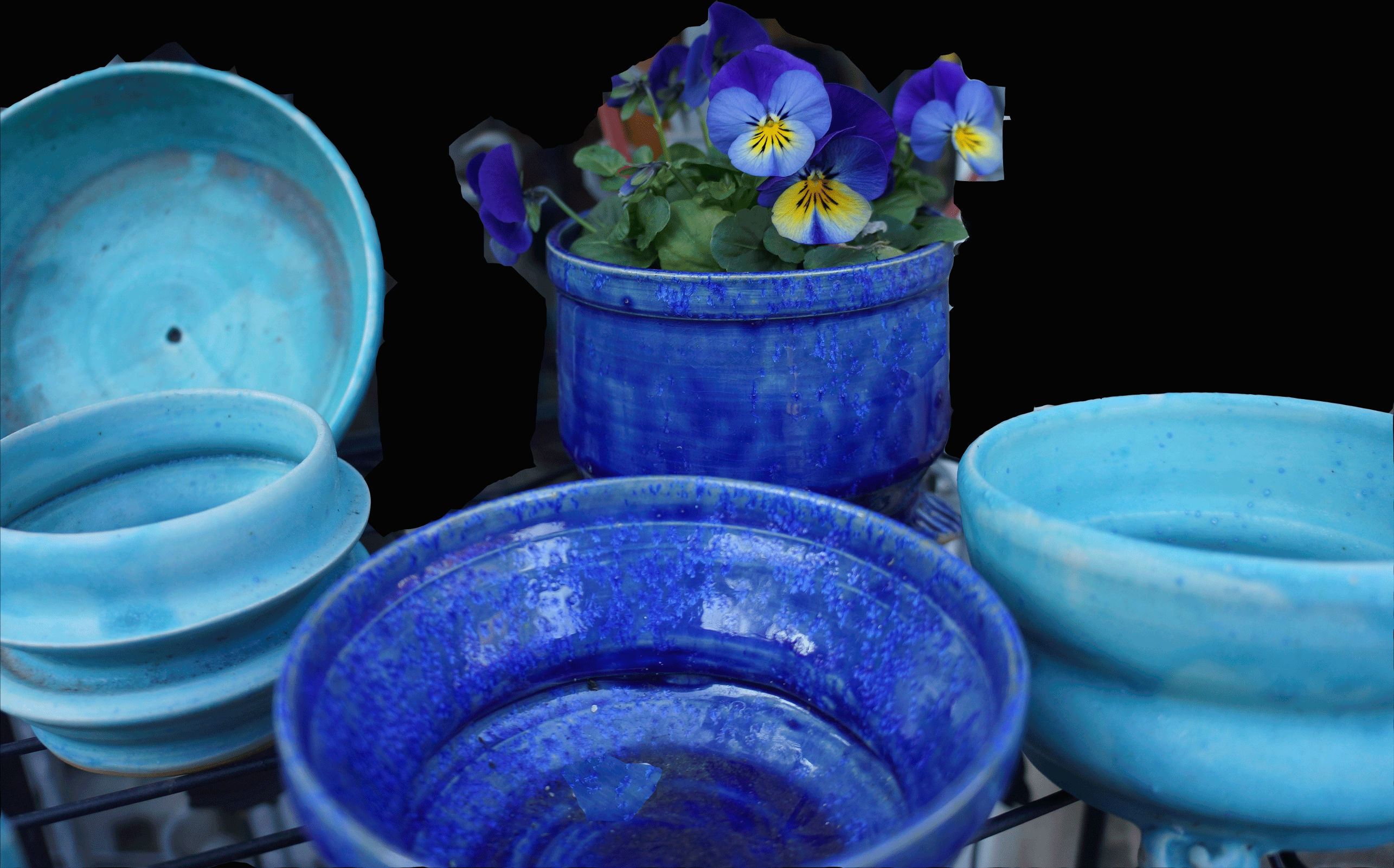 blaue-Schalen